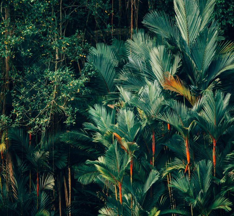 O que é especialista em tráfego pago?