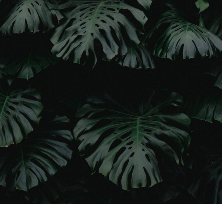 Precisa de um gestor de tráfego? Contrate um especialista certificado em Google Ads