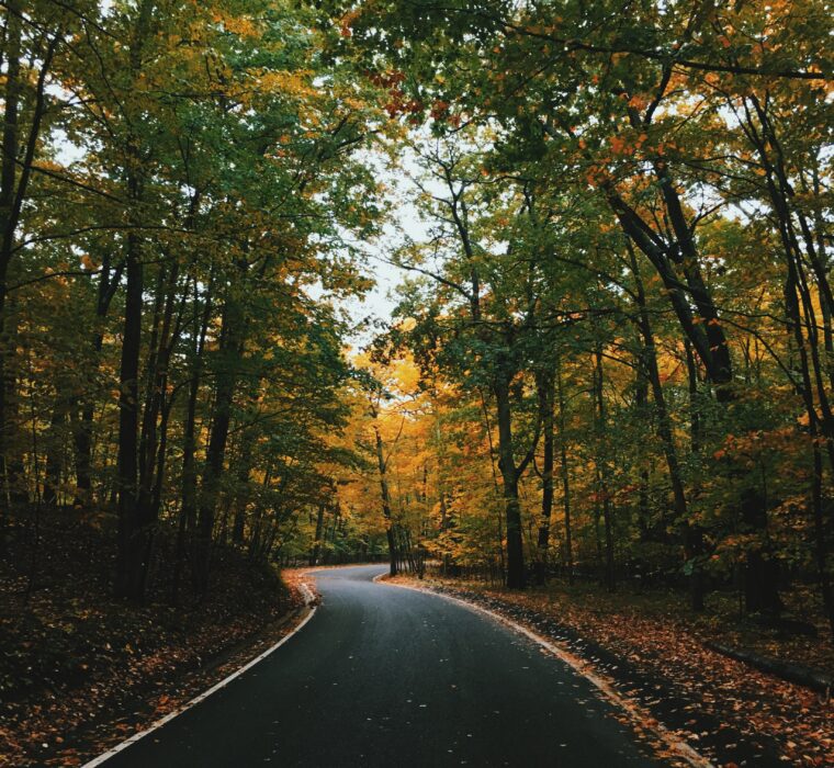 Especialista em tráfego pago certificado pelo Google em Google Ads