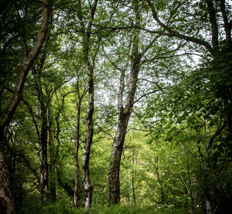 Otimização de sites Porto Alegre - Erros que você deve evitar!