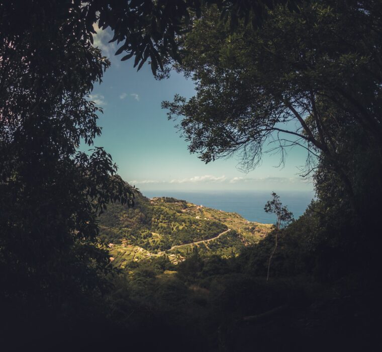 Como achar um bom gestor de tráfego? Contrate um especialista certificado no Google Ads!