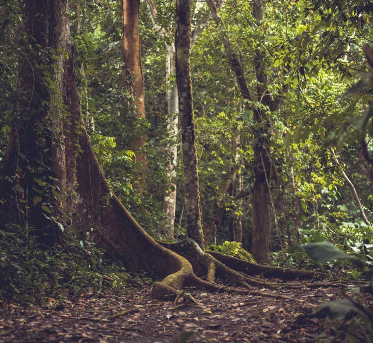 Como contratar um consultor de Google Ads certificado pelo Google