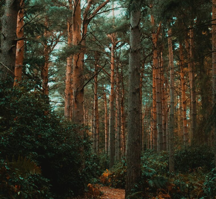 Como escolher uma agência especializada em campanhas Google Ads em Porto Alegre