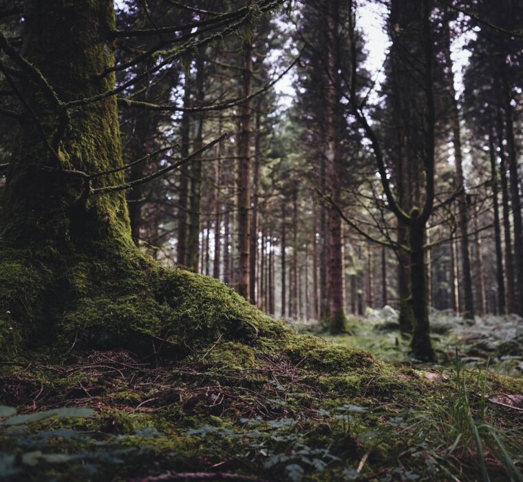 Agência Google Ads em Porto Alegre - Como escolher e como contratar?