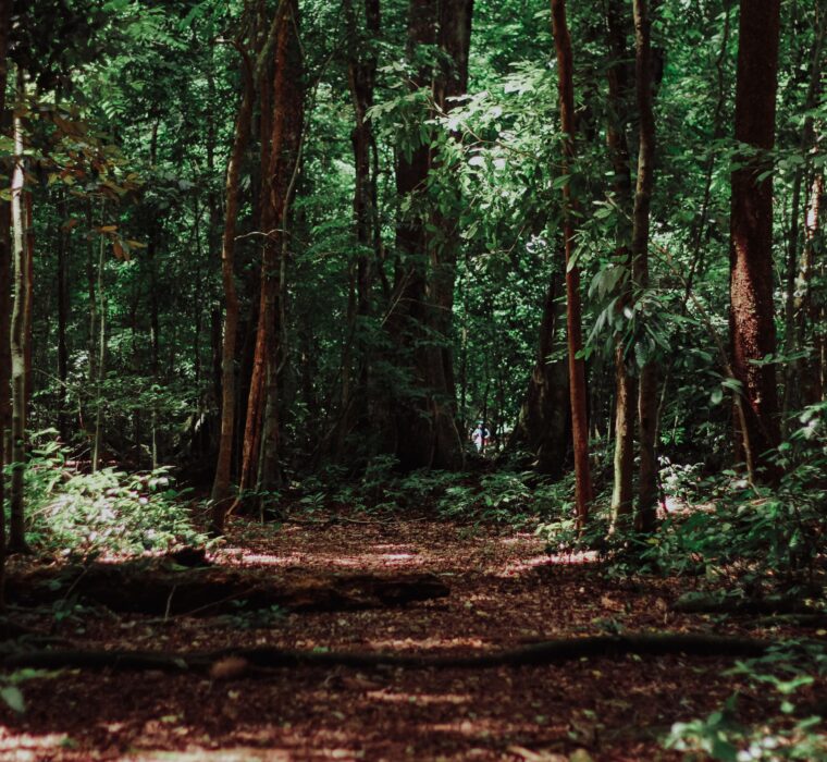 Otimizando campanhas no Google Ads para clínicas de fisioterapia