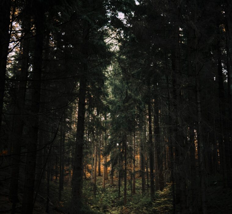 Aumente as conversões do seu site com remarketing no Google Ads