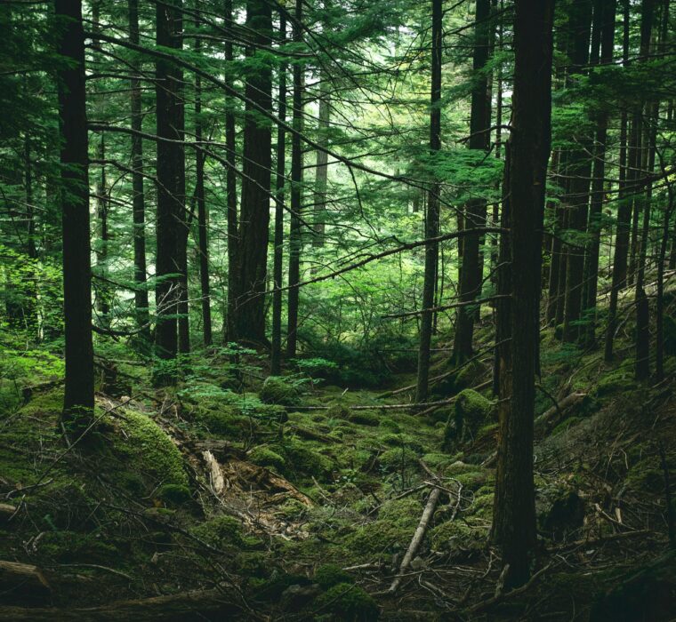 Quanto custa uma consultoria de SEO?