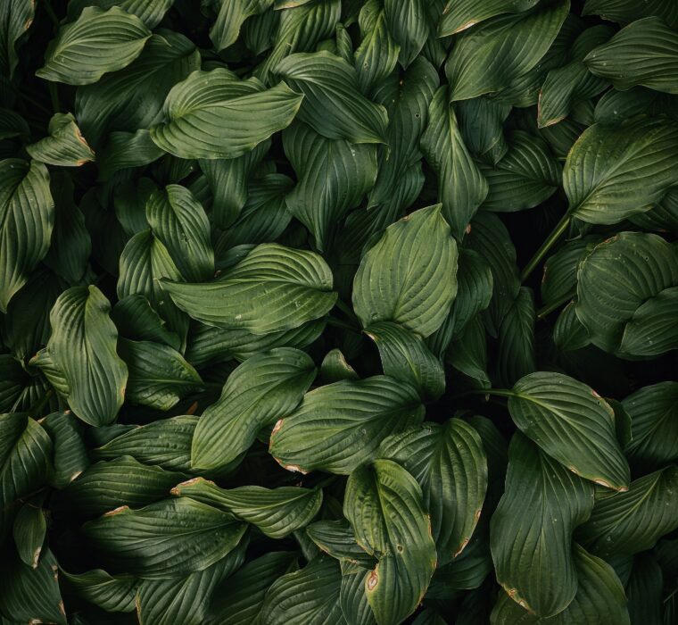 O Guia Definitivo para conquistar o público de Porto Alegre com o Google Ads!