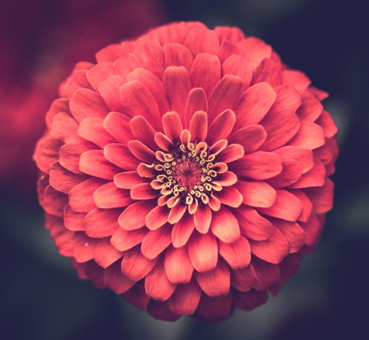 Do zero ao sucesso: O papel do consultor de Google Ads na jornada de marketing