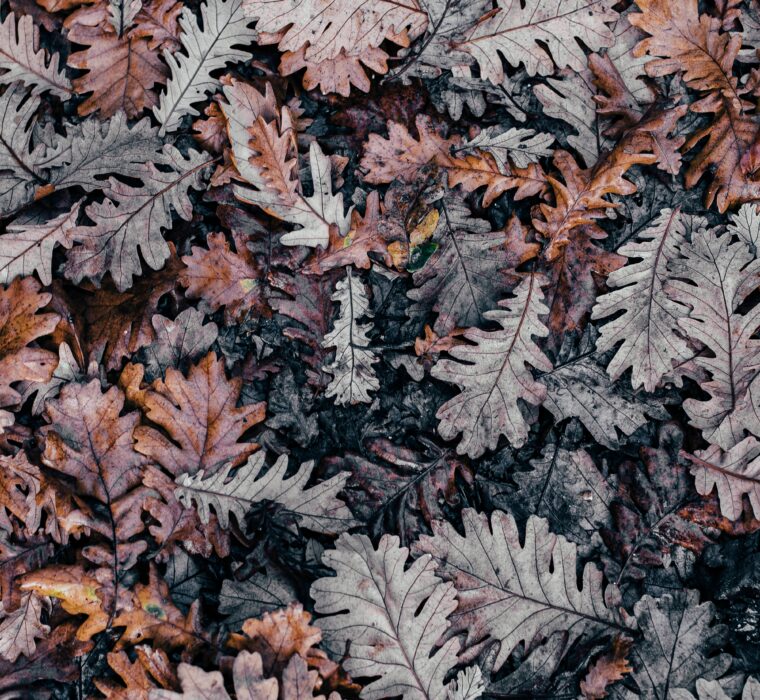 Crie anúncios poderosos para sua estética no Google Ads com nossas dicas de copywriting