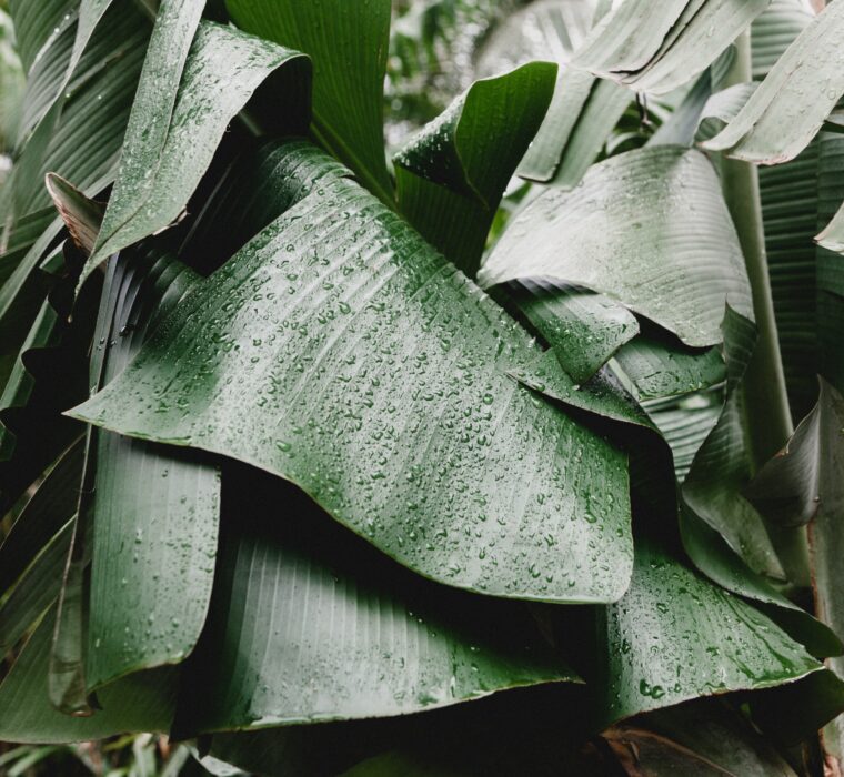 Otimização do orçamento para Google Ads: Como obter o máximo retorno com tráfego pago em Porto Alegre