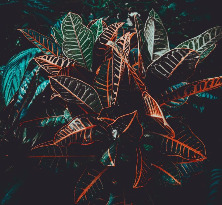 Quanto custa uma consultoria de Google Ads?