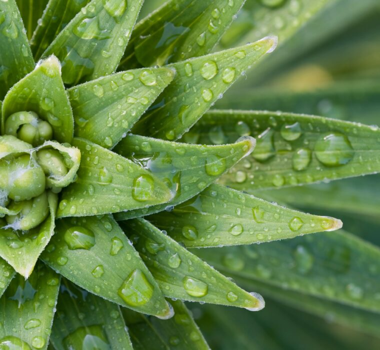 Conquiste Sorrisos e clientes: Anúncios eficazes no Instagram para odontologias