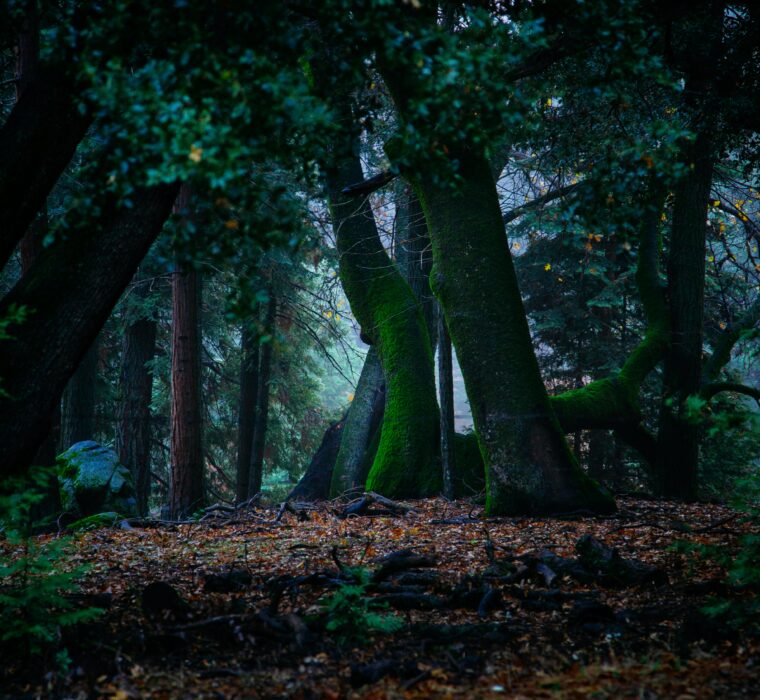 Introdução à utilização de inteligência artificial em conteúdo de texto