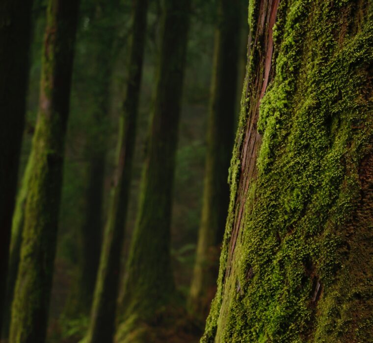 Alcance o topo dos resultados de busca: O poder do Google Ads na visibilidade médica