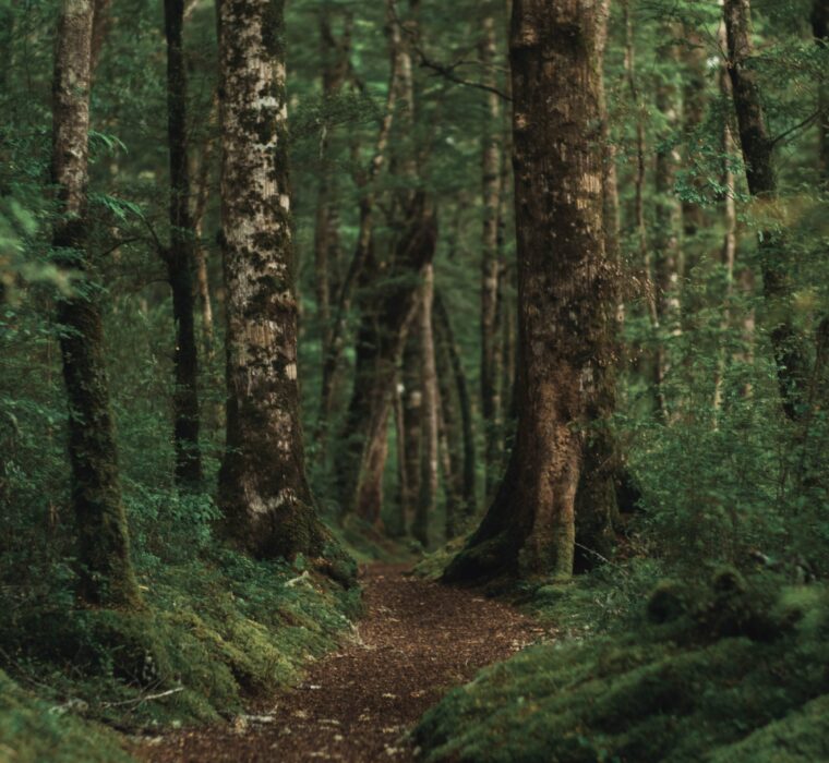 Descubra a Fórmula para Alavancar o Seu Negócio Online com Sucesso!