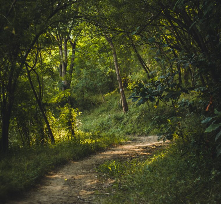 É caro anunciar no Google Ads? Gestão de tráfego pago e planejamento de custos