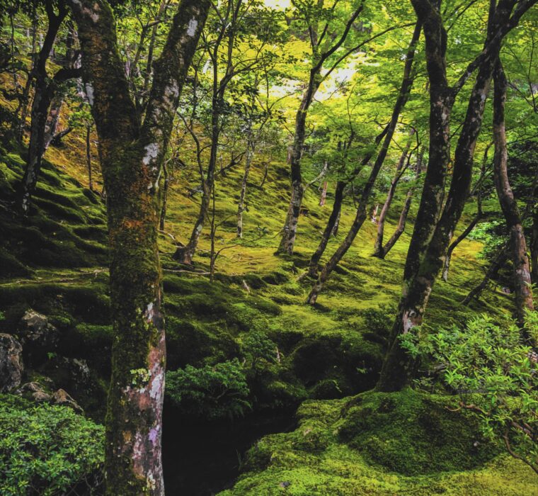 Consultoria Google Ads em Porto Alegre - Como ter sucesso!