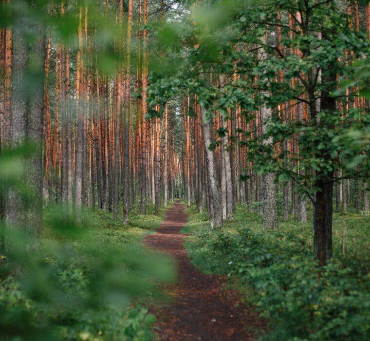 Configurando Campanhas de sucesso no Google Ads