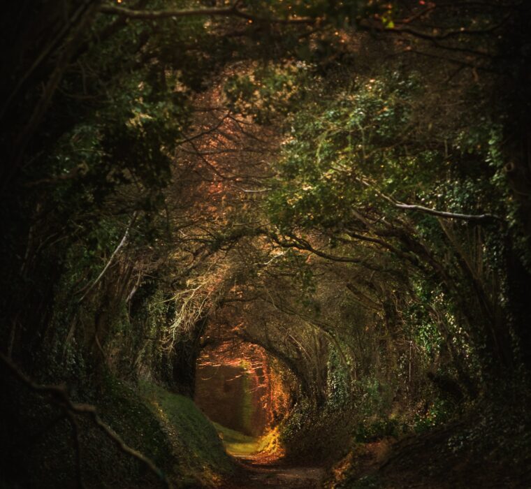 Agência Google Porto Alegre - Geração de leads qualificados