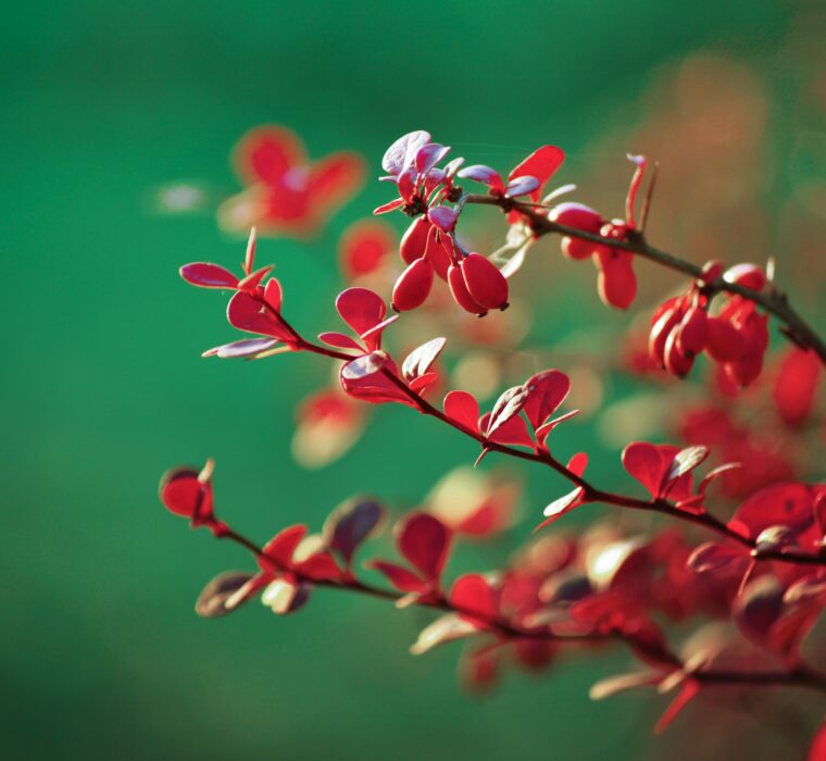 Agência parceira Google Partner Porto Alegre - Criação de campanhas locais com suporte especializado