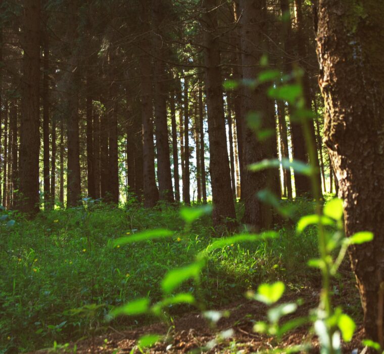 Otimização de sites Porto Alegre: Erros comuns ao escolher uma agência