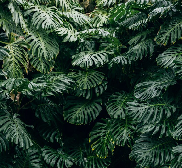 Agência parceira Google Partner - Especialistas em Google Ads em Porto Alegre